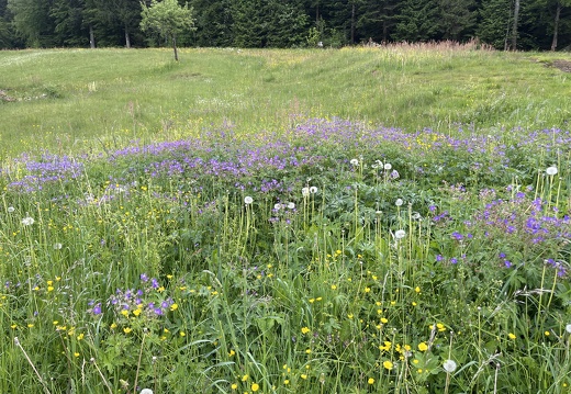 22-05-29 15-24-07 0998